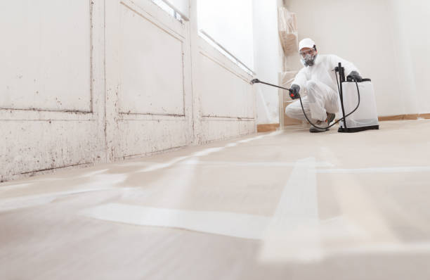 24/7 Emergency Mold Remediation experts in McHenry, IL